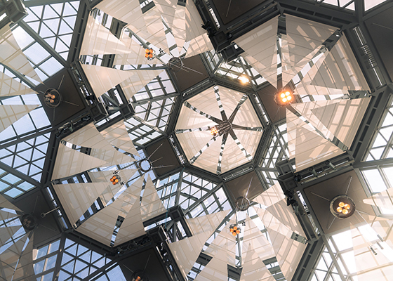 Grade 10 Communications Technology, Open TGJ2O